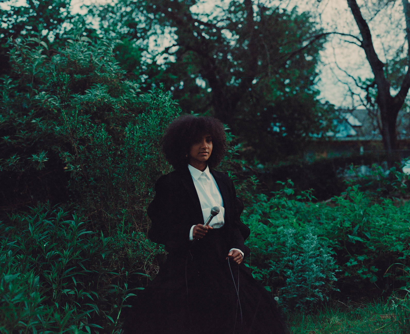 iv_lornasimpson_8 PDD