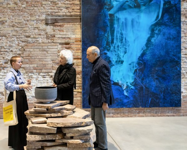 Mediatrice nelle sale