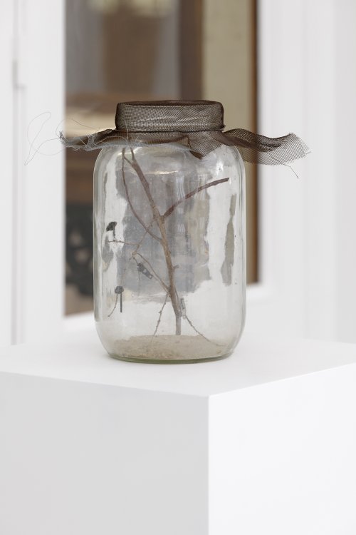 David Hammons, Flies in a Jar, 1994