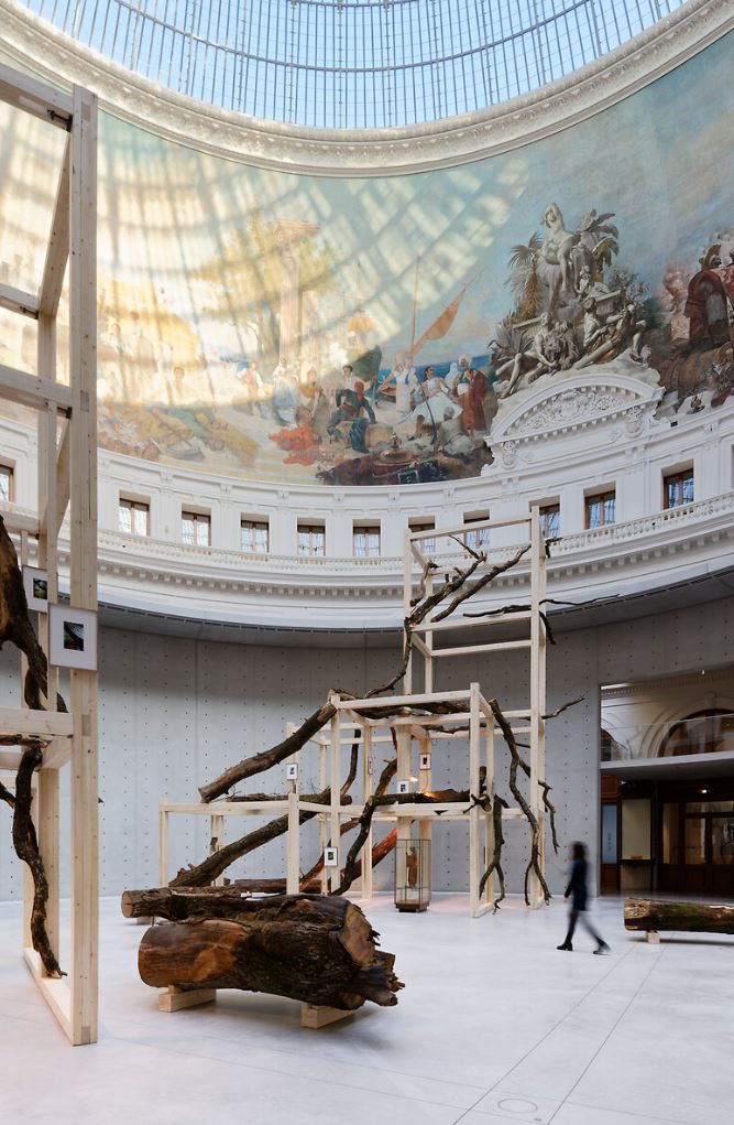 Tropeaolum, Danh Vo