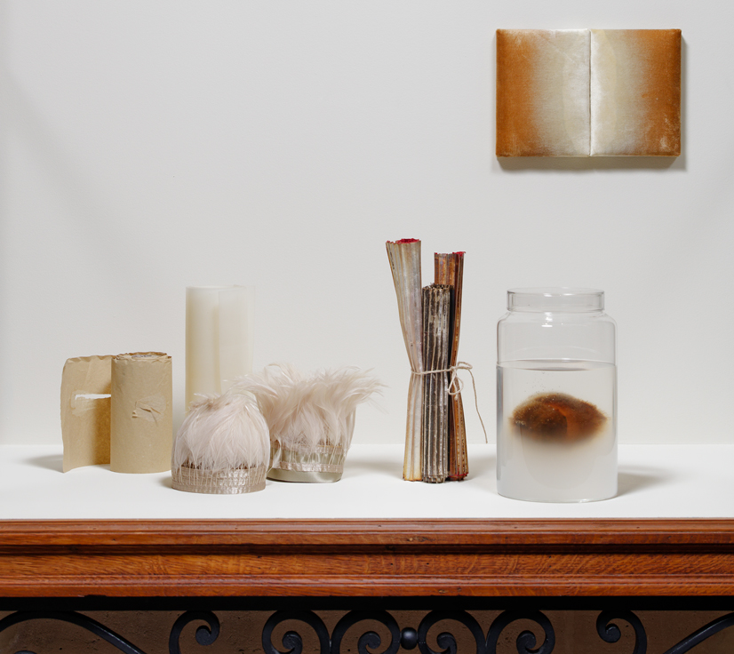 Edith Dekyndt, Vitrines Bourse de Commerce