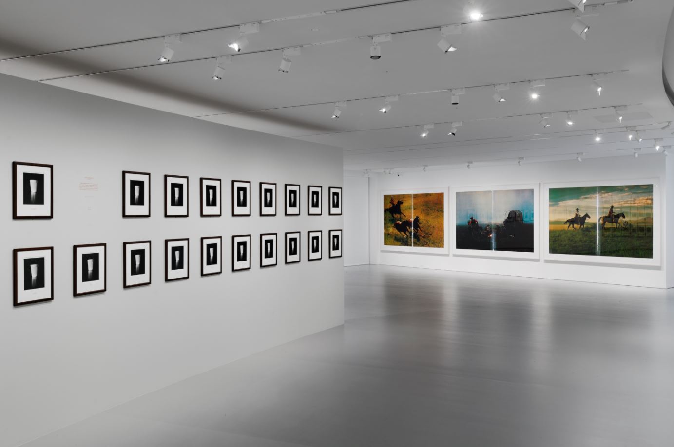 Galerie 3 - Vue d'exposition _ Lawler, Prince