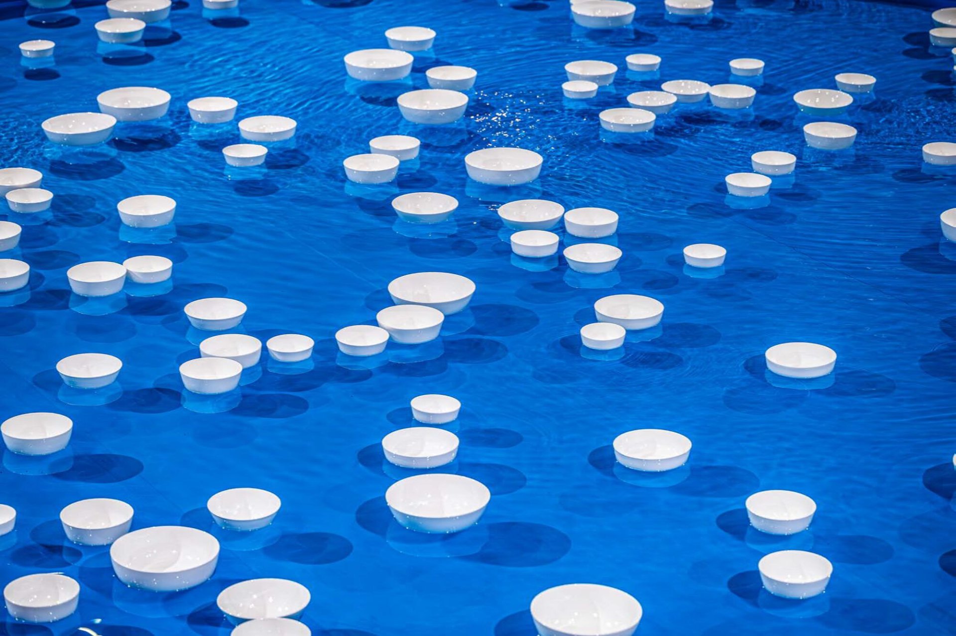 Céleste Boursier-Mougenot, sans titre (série VI), 2011