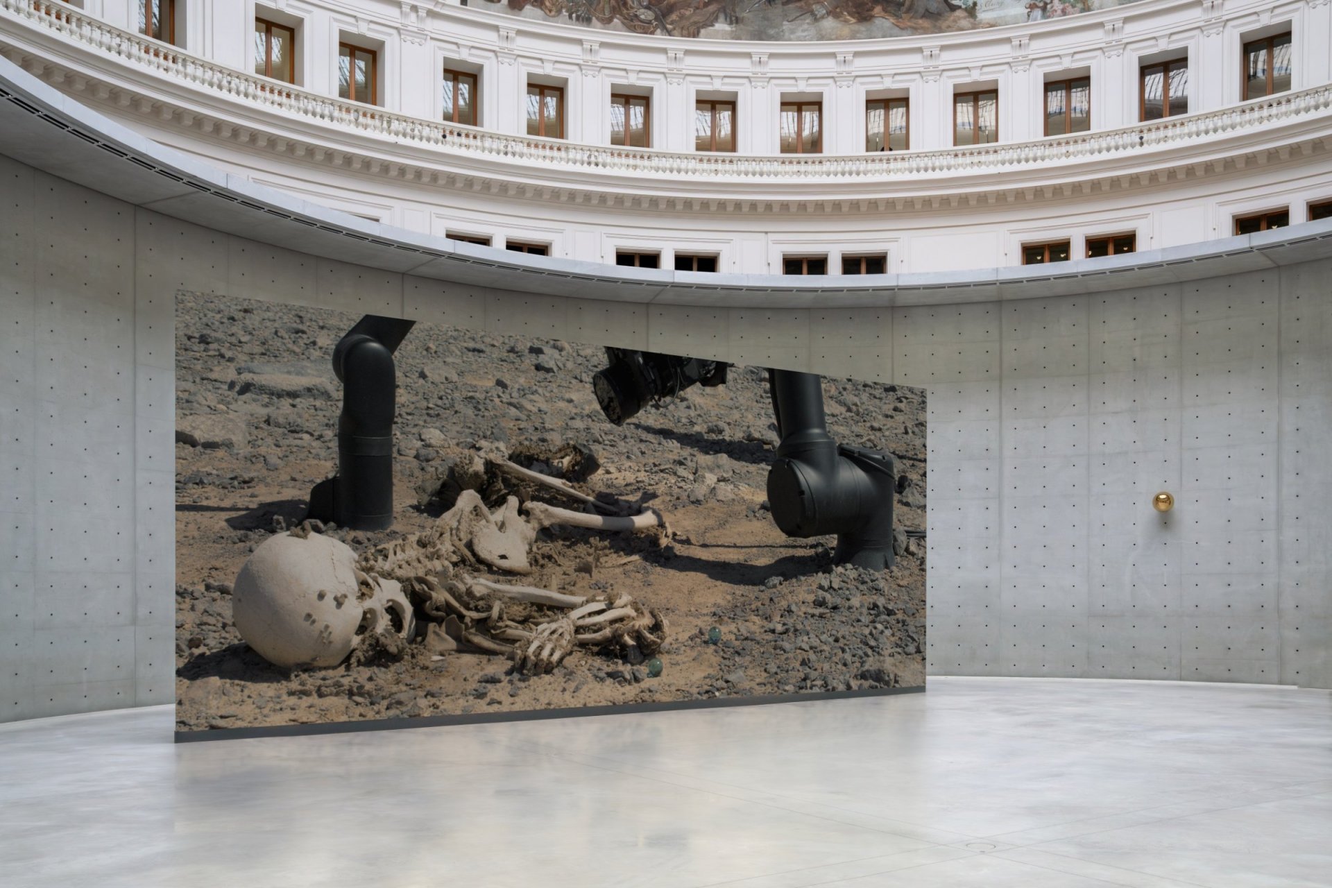 Camata Pierre Huyghe