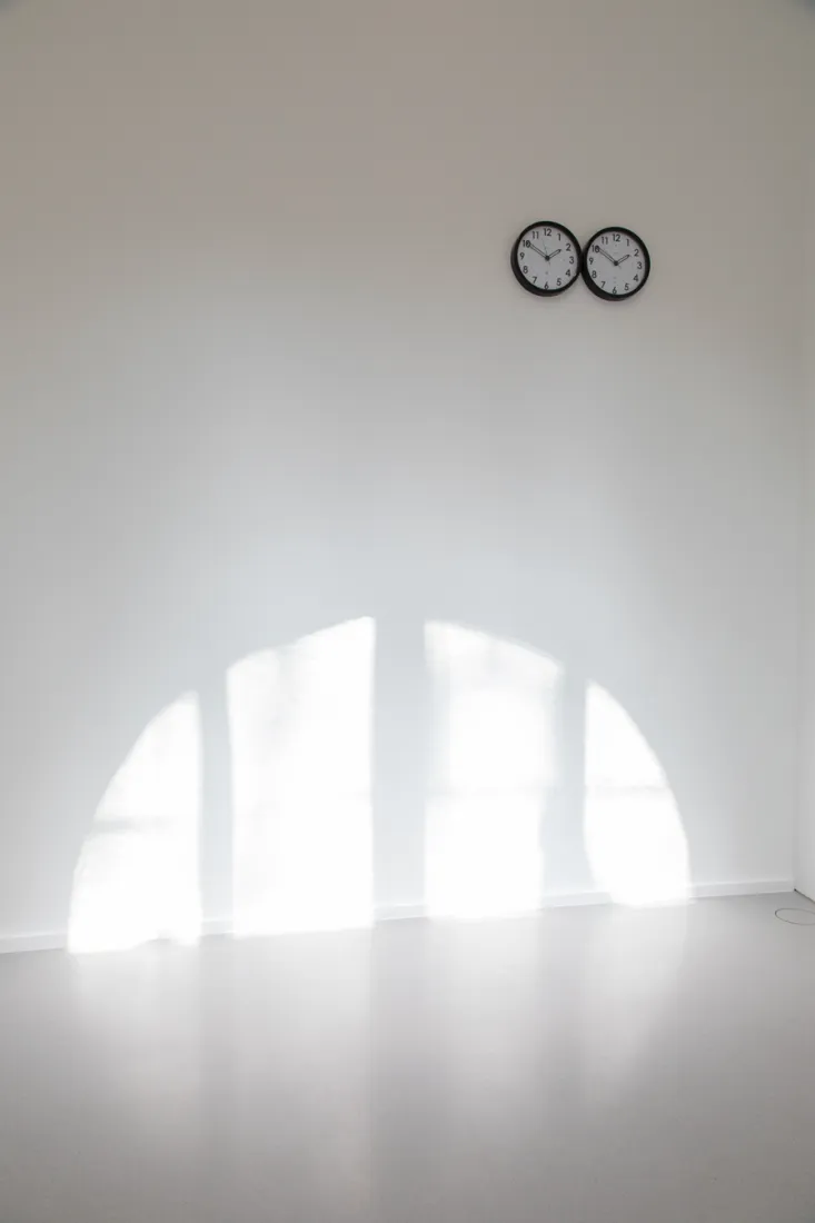 Vue d'exposition « Felix Gonzalez-Torres - Roni Horn »