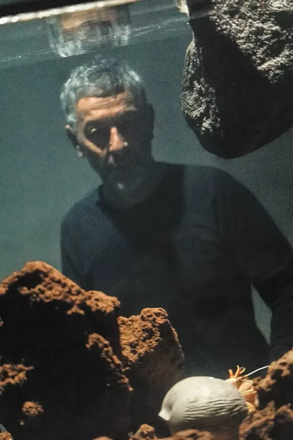 Portrait de Pierre Huyghe 