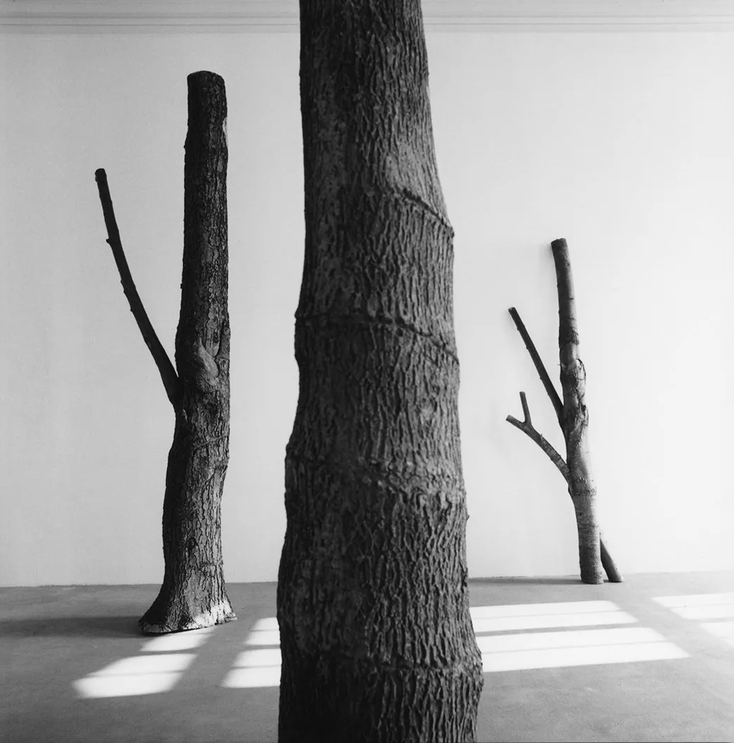 Pinault Collection © Giuseppe Penone ADAGP 2024