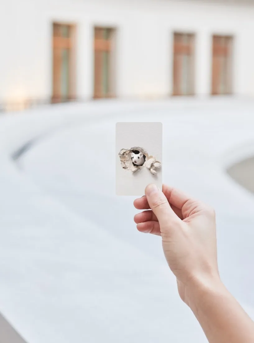 Membership Pinault Collection Card