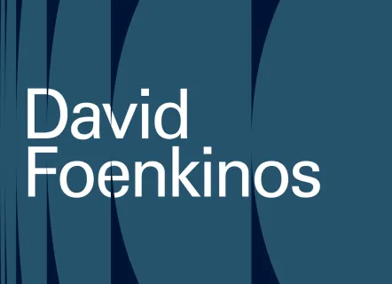 Lundis du 1 David Foenkinos