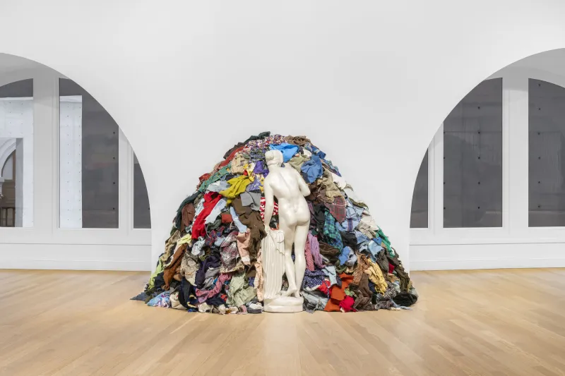 Vénus aux chiffons de Michelangelo Pistoletto
