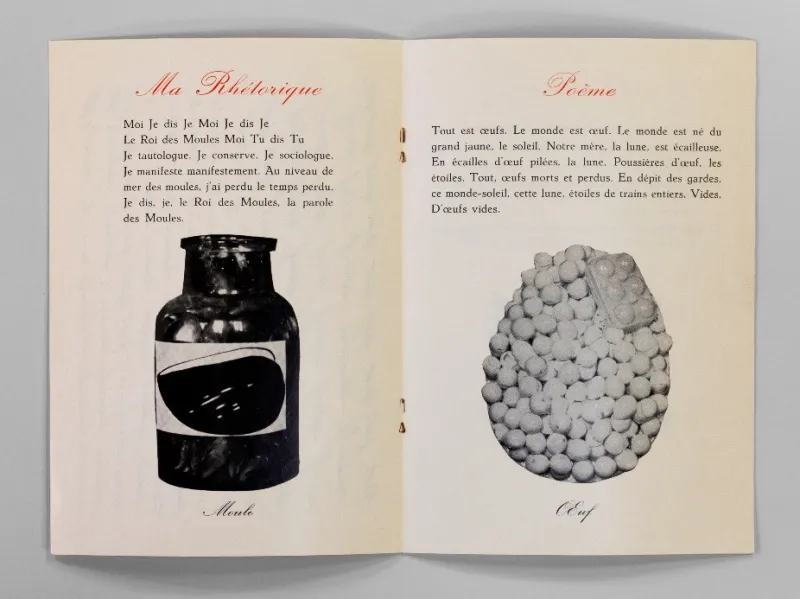 Lecture Marcel Broodthaers 