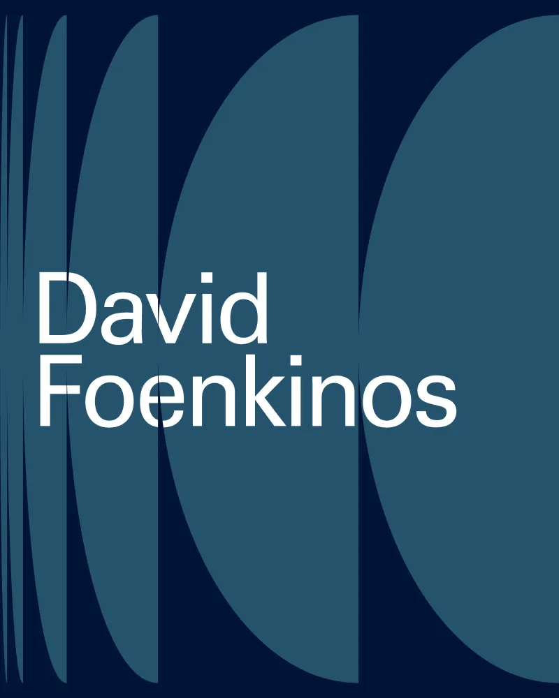 Lundis du 1 David Foenkinos