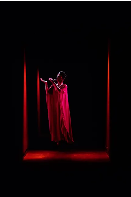 Dominique Gonzalez Foerster - Opera QM15 ?