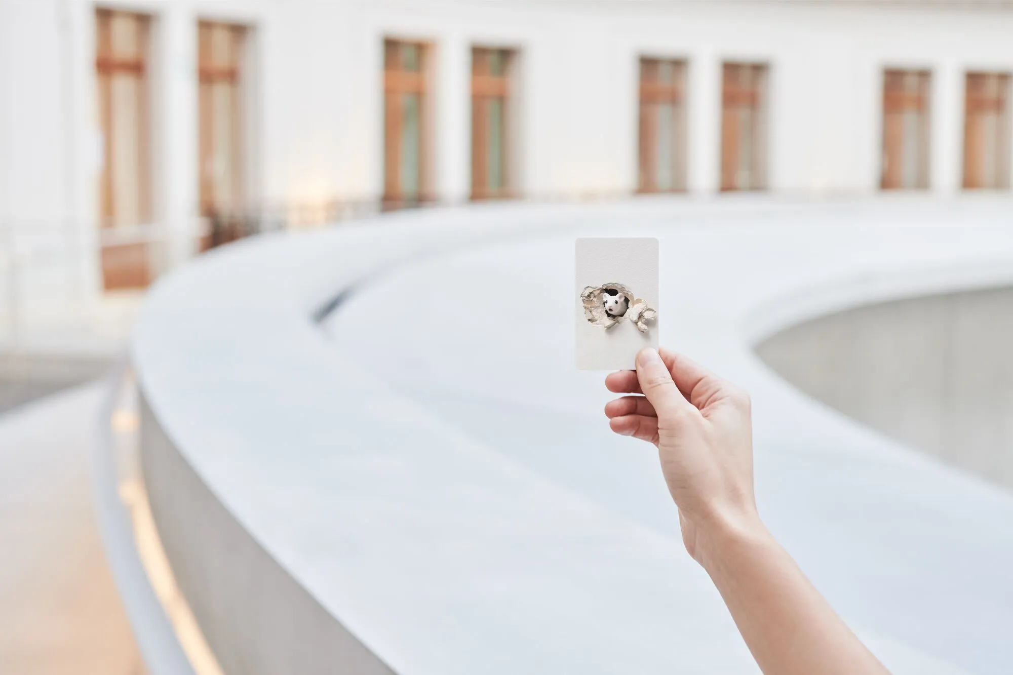 carte membership Pinault Collection