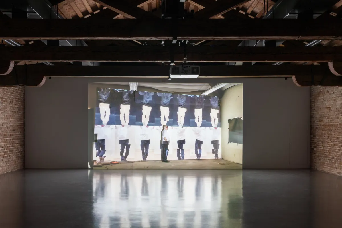 Bruce Nauman, Walks In Walks Out